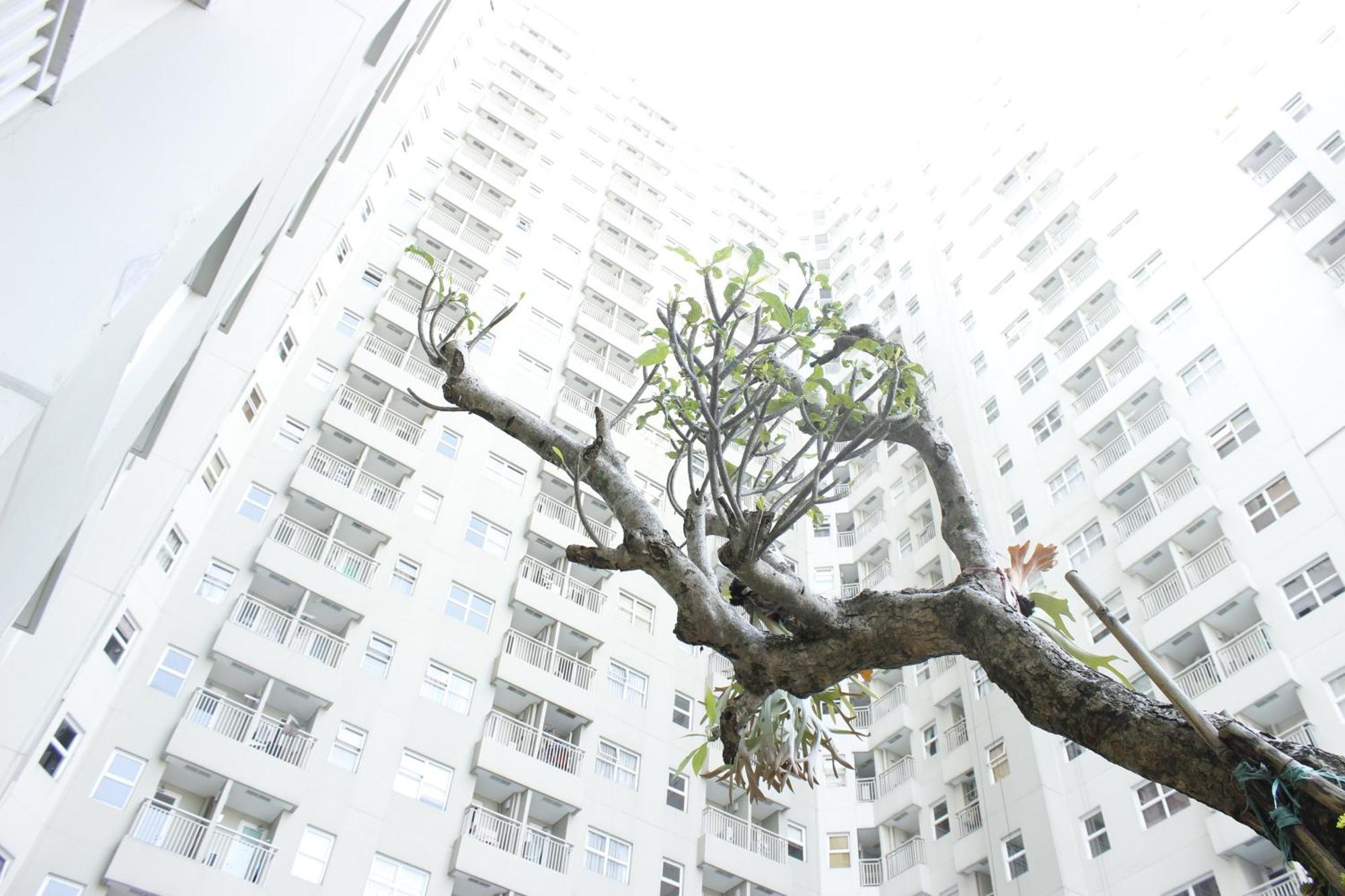 Spacious At Parahyangan By Travelio Apartemen